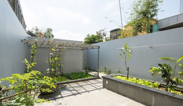 ทาวน์เฮาส์มีมุมทำสวน ปลูกผักในบ้านทาวน์เฮาส์